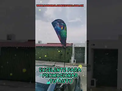 bandera go 1750470068