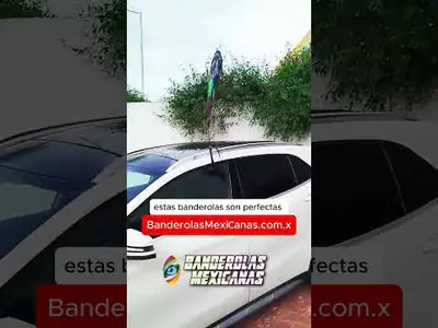 Bandera Go 1720745476