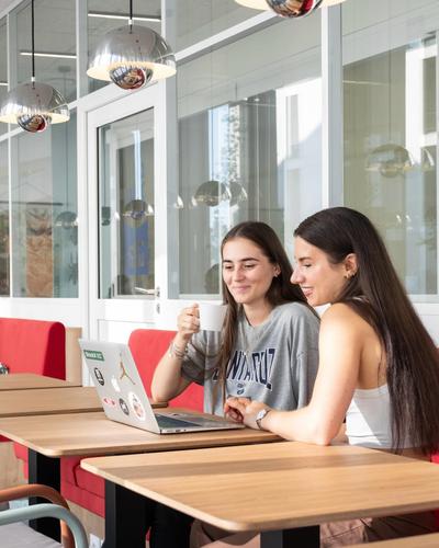 Session cr Session cr 1767618427